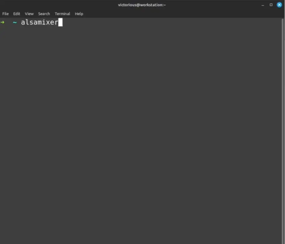 Terminal showing alsamixer command being executed